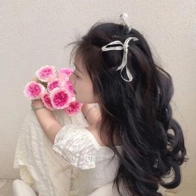 主播流浪记