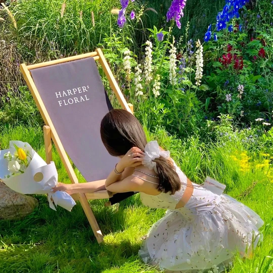 小谢尔顿第七季