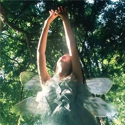 禽兽超人之迷雾围城