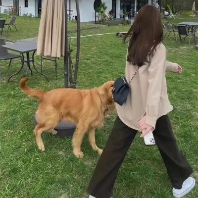 拜托啦师兄
